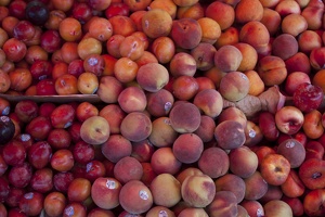 316-8066 Peaches, Plums